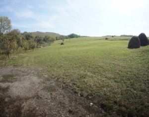 Land for sale in Cluj-napoca, zone Sopor
