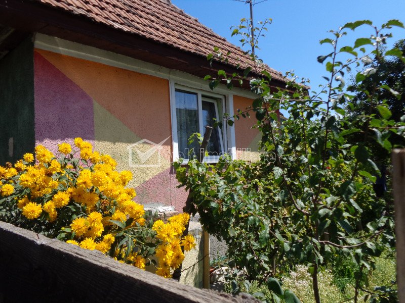 Maison 2 chambres à vendre dans Cluj-napoca, zone Iris