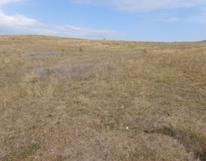 Land for sale in Cluj-napoca