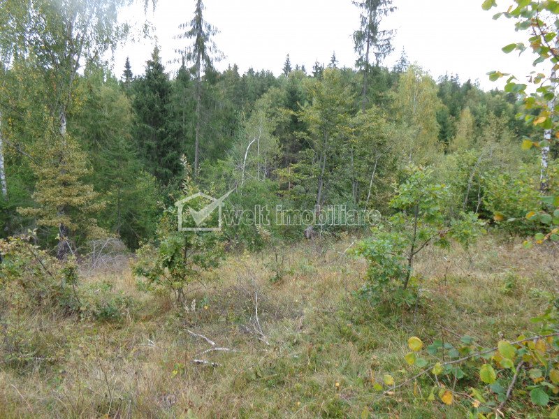 Land for sale in Calatele