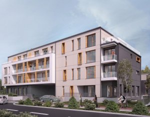 napoca cluj borhanci