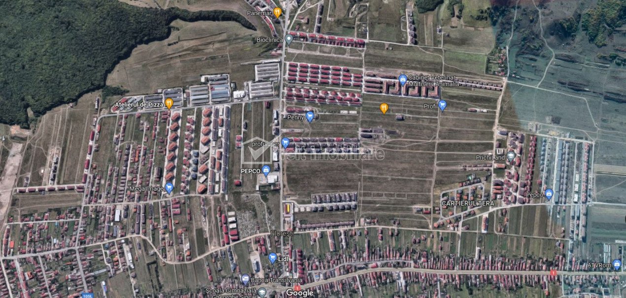 Land for sale in Floresti