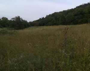 Land for sale in Iclozel, zone Centru