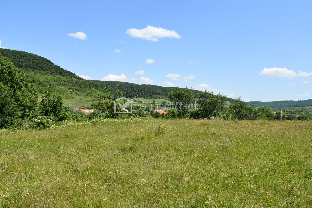Land for sale in Vultureni, zone Centru
