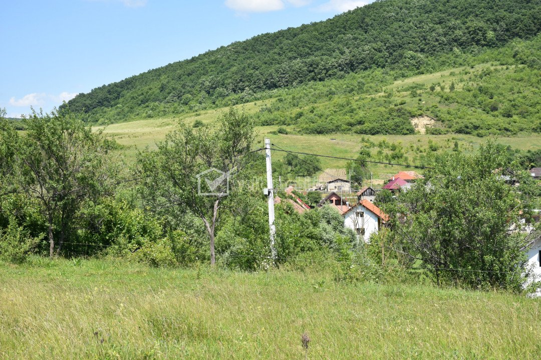 Land for sale in Vultureni, zone Centru