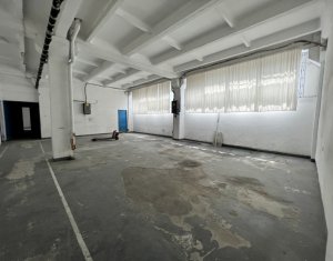 Industrial space for rent in Cluj-napoca, zone Bulgaria