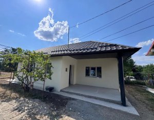 Maison 2 chambres à vendre dans Cluj-napoca, zone Someseni