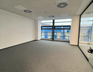 Birou open space in cladire Office, Taietura Turcului