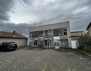 Espace Industriel à louer dans Cluj-napoca, zone Someseni