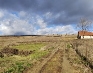 Land for sale in Campenesti