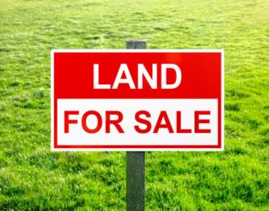 Land for sale in Campenesti