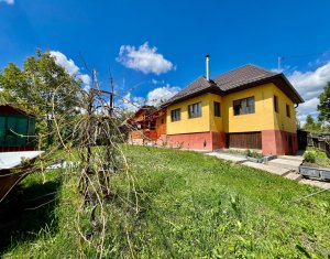 Casa renovata, deosebita, panorama Apuseni, 3333 mp teren