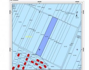 Terrain à vendre dans Jucu De Mijloc