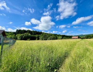 Terrain à vendre dans Savadisla