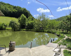 Casa de vacanta, cu lac de pescuit, 5640 mp teren, com. Chiuiesti, jud. Cluj