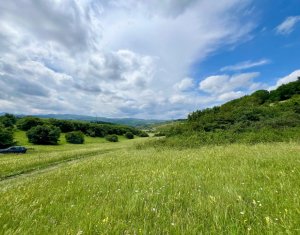 Oportunitate investitie, teren cu panorama pentru cabane