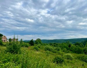 Teren autorizat Valea Capriorii, Feleacu