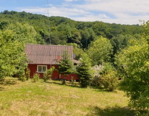 Terrain à vendre dans Feleacu