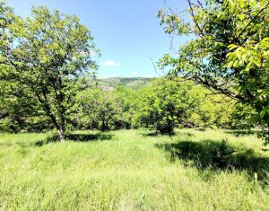 Land for sale in Suceagu