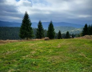 Telek eladó on Balcesti (belis), Zóna Centru