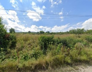 Terrain à louer dans Cluj-napoca, zone Iris