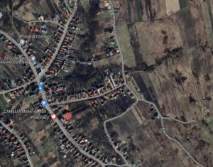 Land for sale in Chinteni