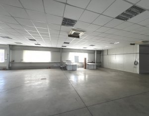 Industrial space for rent in Baciu