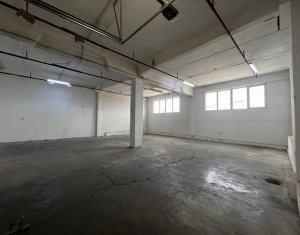 Industrial space for rent in Cluj-napoca, zone Someseni