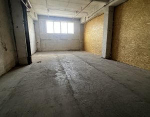 Industrial space for rent in Cluj-napoca, zone Someseni