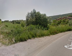 Land for sale in Chinteni