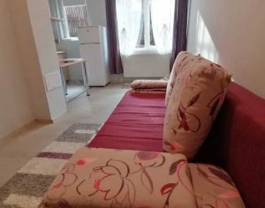 Apartment 1 rooms for sale in Cluj-napoca, zone Andrei Muresanu