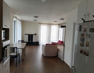 Apartment 1 rooms for rent in Cluj-napoca, zone Andrei Muresanu