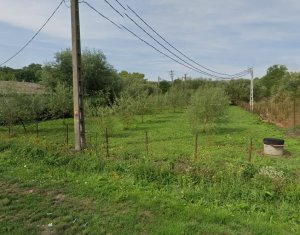 Telek eladó on Suatu