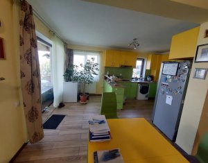 Maison 4 chambres à vendre dans Cluj-napoca, zone Borhanci