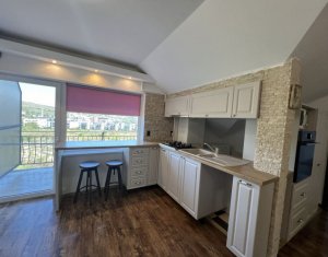 Appartement 4 chambres à louer dans Cluj-napoca, zone Borhanci