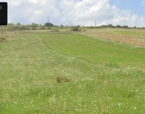 Terrain à vendre dans Salicea