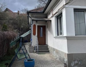 Oportunitate investitie, 2 case, 13 camere, Andrei Muresanu
