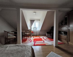 Maison 13 chambres à vendre dans Cluj-napoca