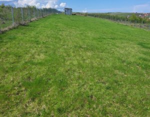 Terrain à vendre dans Cluj-napoca