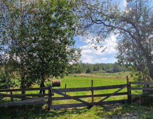 Land for sale in Dealu Negru