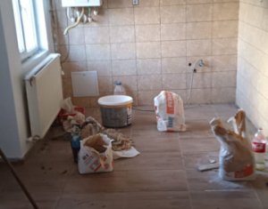 Apartament, 38 mp, finisat, la curte comuna, Dambul Rotund