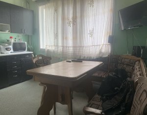 Maison 4 chambres à vendre dans Cluj-napoca, zone Marasti