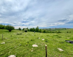 Land for sale in Feleacu