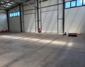 Industrial space for rent in Floresti