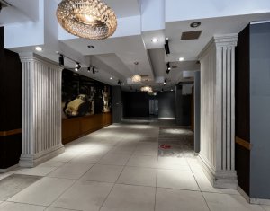 Espace Commercial à louer dans Cluj-napoca, zone Centru