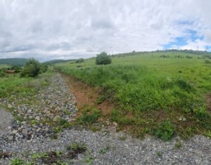 Teren intravilan in Salicea