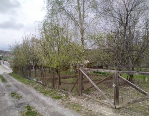 Teren constructii , drum de acces, Salicea
