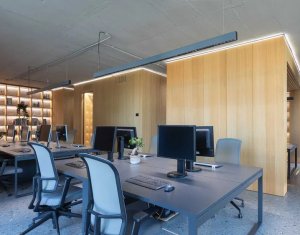 Spatiu de birouri PREMIUM, Andrei Muresanu