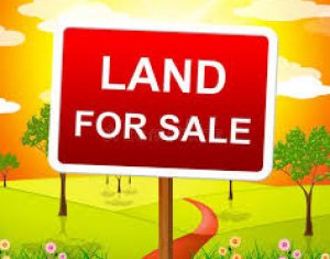 Land for sale in Cluj-napoca, zone Buna Ziua
