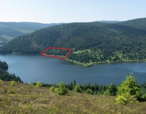 Terrain à vendre dans Belis